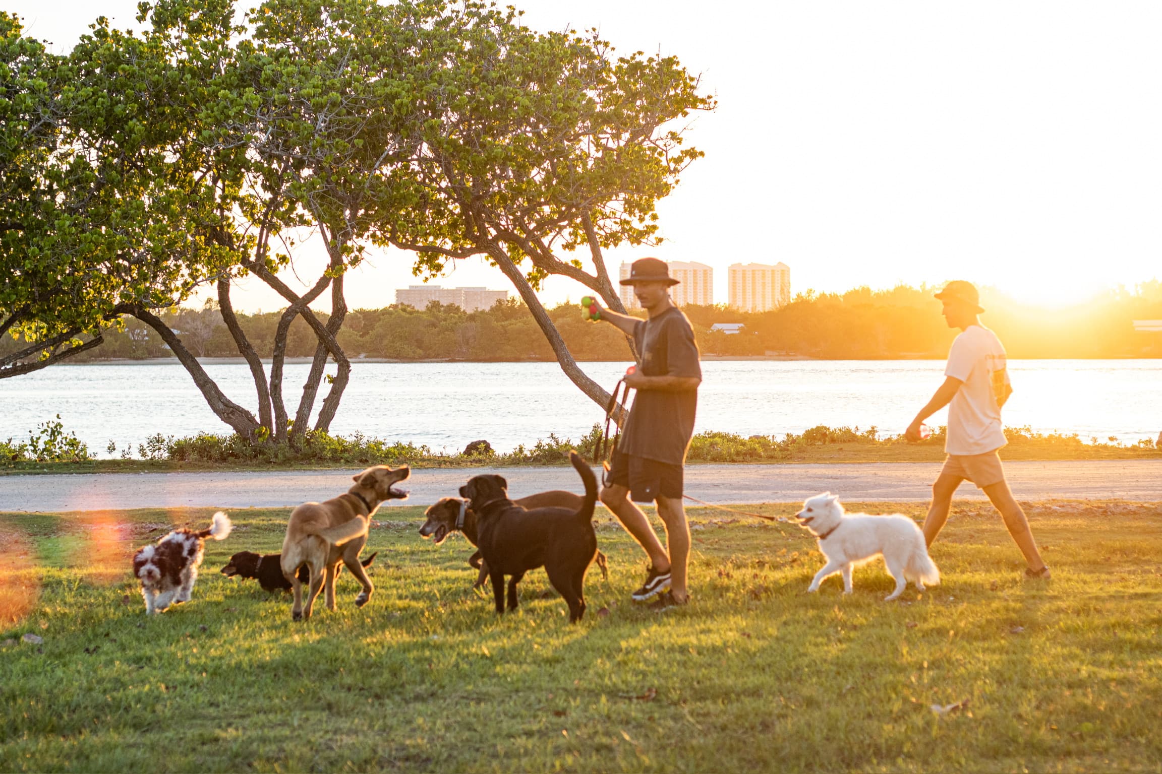 How it works background